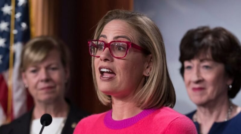 Kyrsten Sinema homewrecker lawsuit editorial analysis 2026
