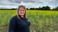 Dairy Farmers Milk Loss: The £83m Cost of Extreme Heat - SeeUY