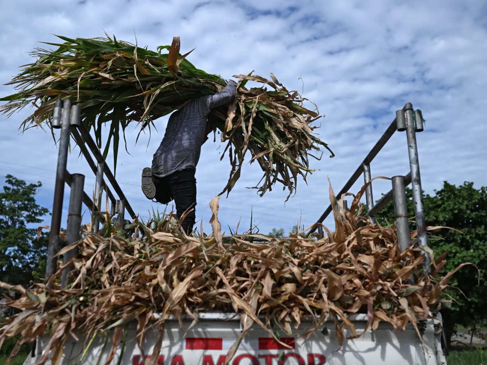 Climate-Driven El Niño Unleashes Unprecedented Global Extremes afp 6a983f13bf2a 1788362515