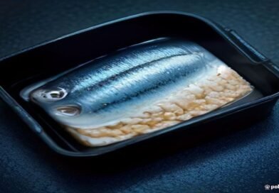 tinned mackerel skimpflation, atlantic mackerel overfishing, chilean jack mackerel nutrition, seafood supply chain sustainability, defra food labeling rules editorial analysis 2026